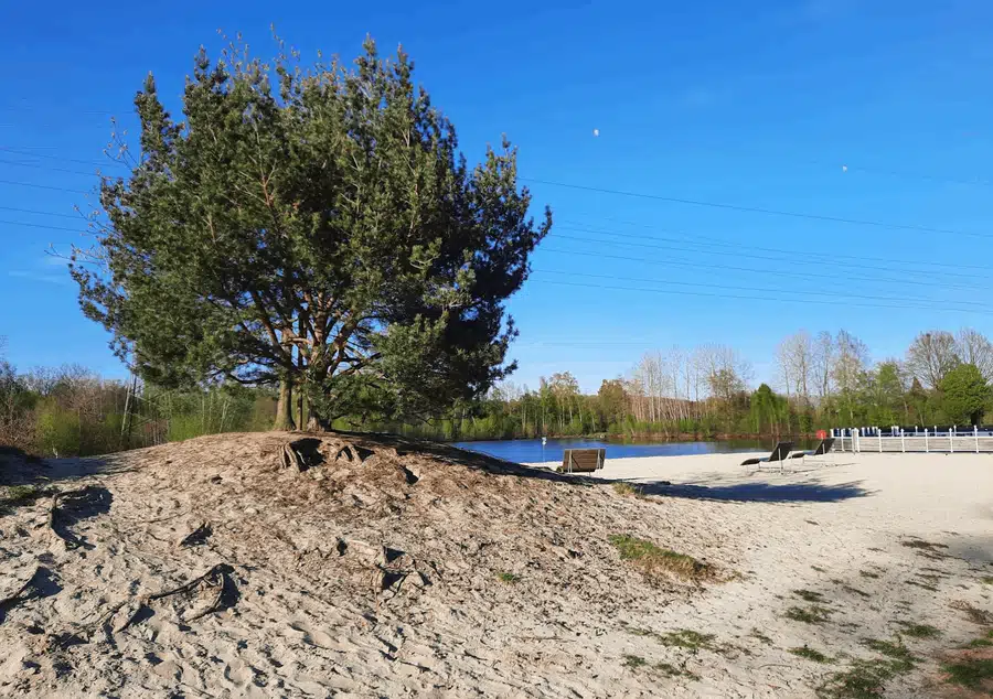 Photo 4 of 12, Site