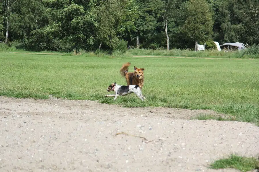 Foto 7 von 7, Platz