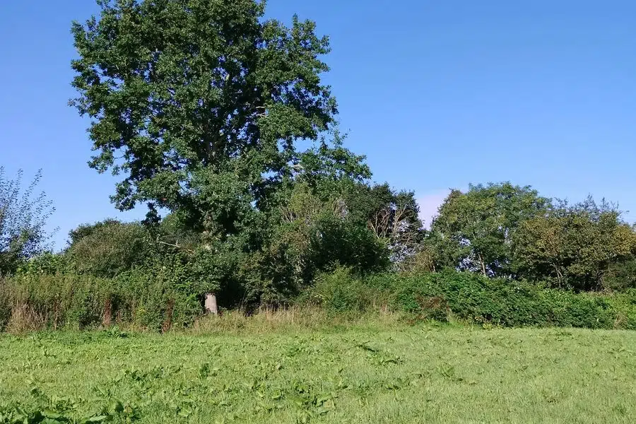 Photo 4 of 6, Site