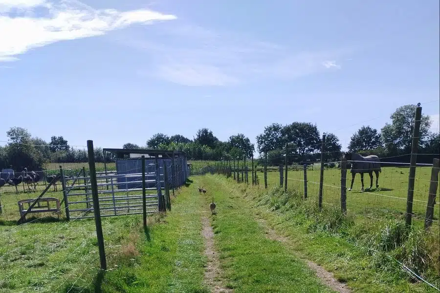 Photo 3 of 6, Site
