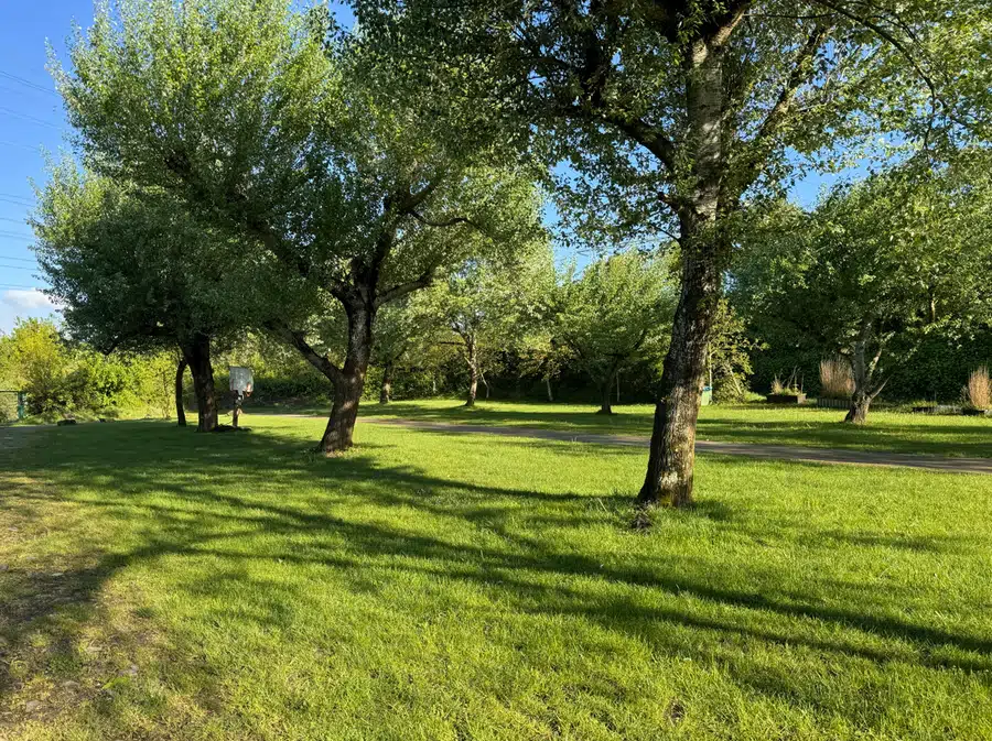 Photo 1 of 2, Site
