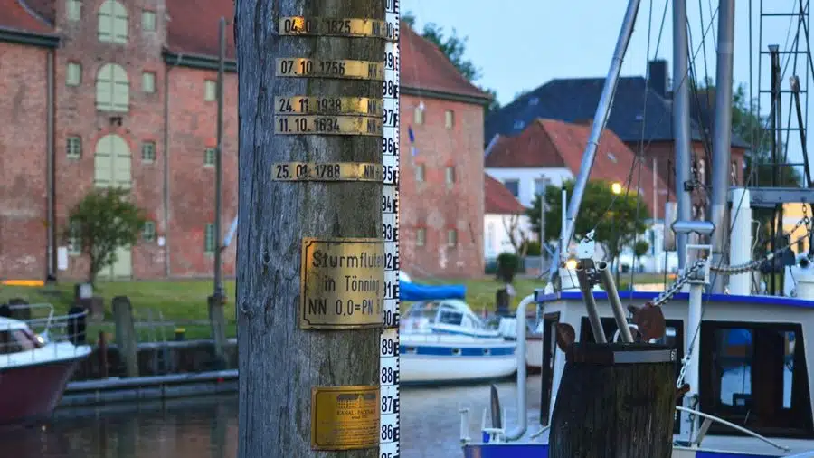 Foto 6 von 12, Platz