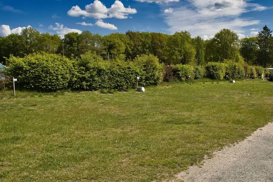 Photo 5 of 7, Site