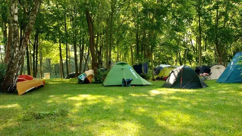 Foto 3 von 6, Platz