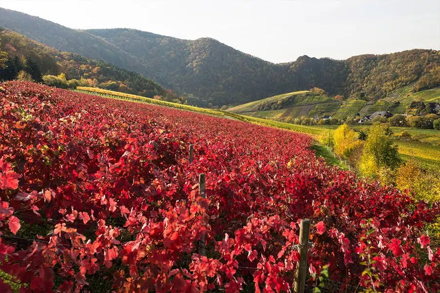Photo 4 of 12, Site